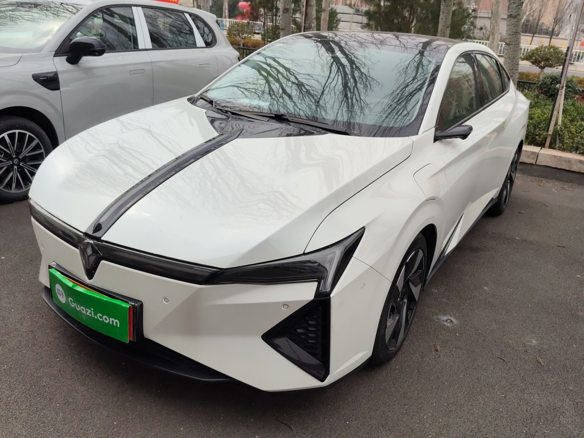 Parte inferior delantera