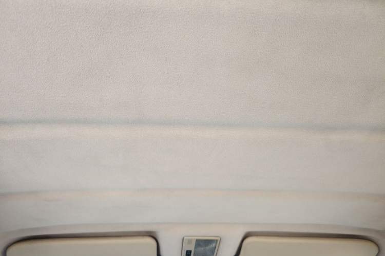 Used Volkswagen Jetta 2006 GIF Avant-Garde Millionth Anniversary Edition Headliner