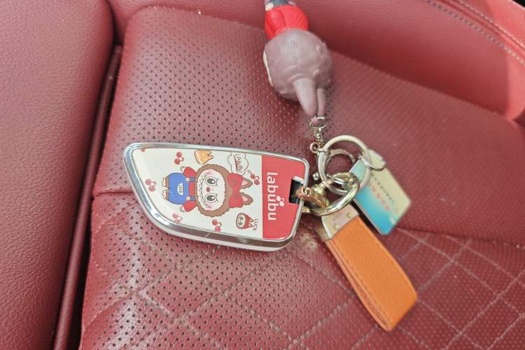 Used BMW X3 2022 xDrive30i Luxury Model M Night Sky Package