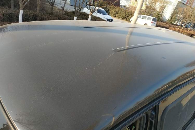 Used FORTHING Lingzhi 2017 M5L 1.6L 7-Seater Standard Model