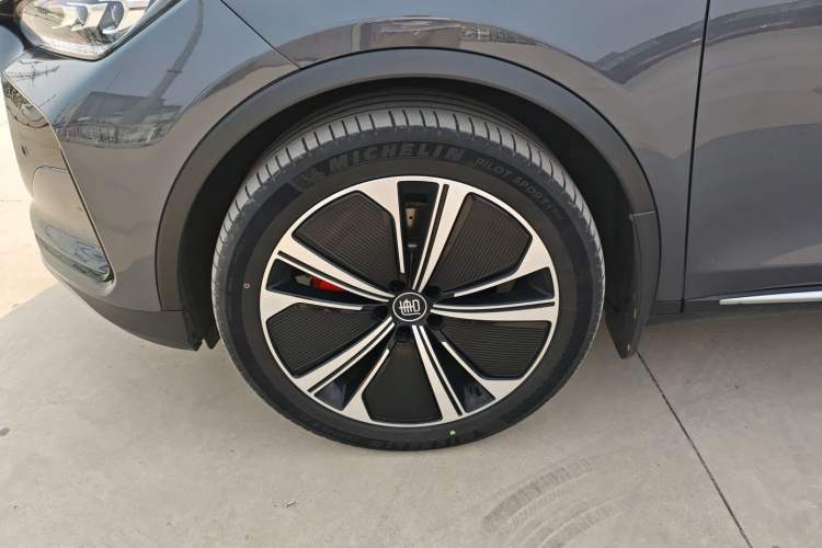 Used BYD Tang New Energy 2022 DM-p 215 km All-Wheel-Drive Deluxe Model Exterior 4