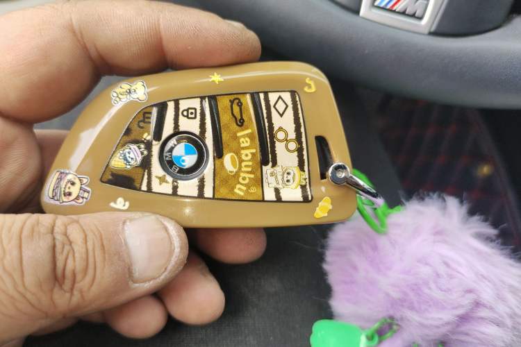 Used BMW 3 Series 2023 320Li M Sport Package Vehicle Key