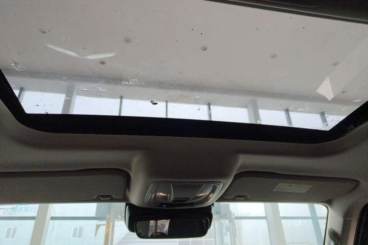 Used Tank 300 2024 2.0T Crosser
