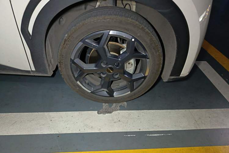 Used BYD Seagull 2025 305 km Free Version