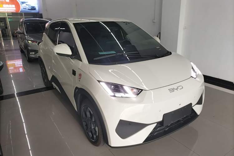 Used BYD Seagull 2025 Smart Drive Version 305 km Freedom Edition

