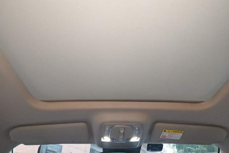 Used Roewe RX5 New Energy 2020 ePLUS National Trend Ronglin Flagship Edition Headliner