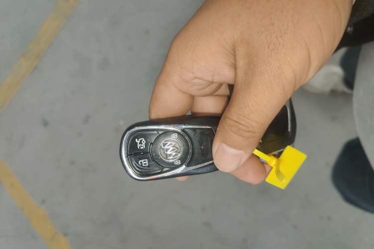 Used Buick Regal 2019 20T Elite Version China VI Standard
