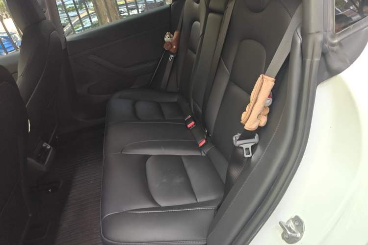 Used Tesla Model 3 2022 Rear-Wheel-Drive Version
