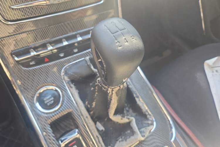 Used Leopaard CS9 2017 1.5L Manual Fashion Model