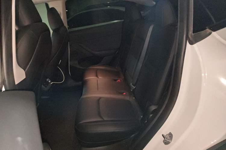 Used Tesla Model Y 2024 Rear-Wheel-Drive Version Left Rear Seat