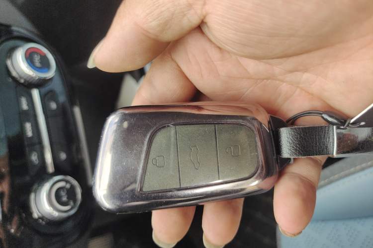 Used Chery Little Ant 2023 251km True Love Edition Lithium Iron Phosphate