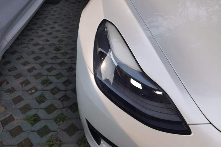 Used Tesla Model 3 2021 Standard Range Rear-Wheel Drive Upgraded Version 3D6