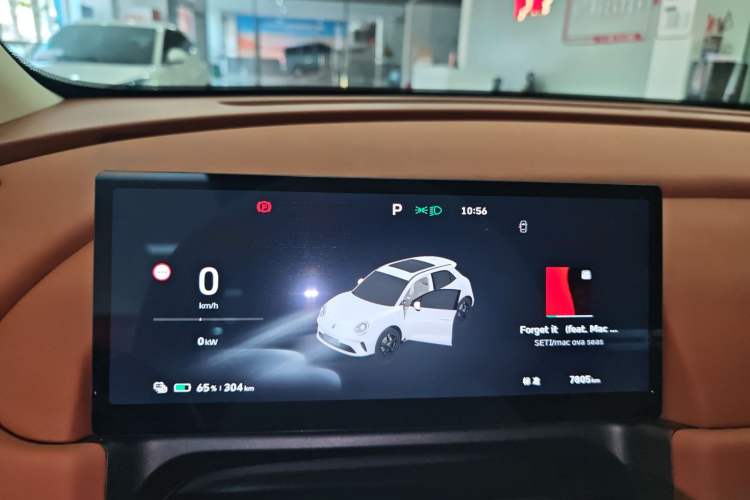 Used ORA Good Cat 2025 Model, 430 km Prestige Version
