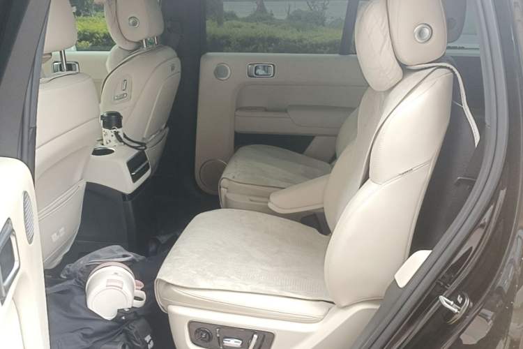 Used Li Auto L9 2022 Max model Left Rear Seat