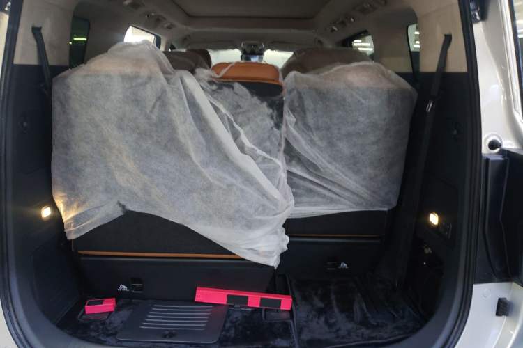 Used Hongqi HQ9 2023 2.0T Smart Connect Flagship Edition