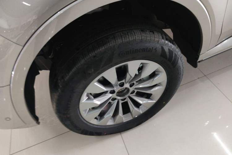 Used Tank 500 New Energy 2024 Hi4-T
