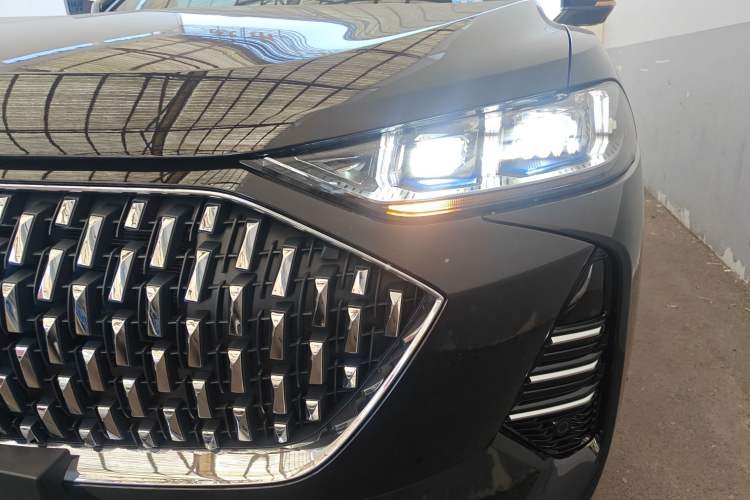 Used Wey Mocha 2021 2.0T Four-Wheel Drive Premium Edition
