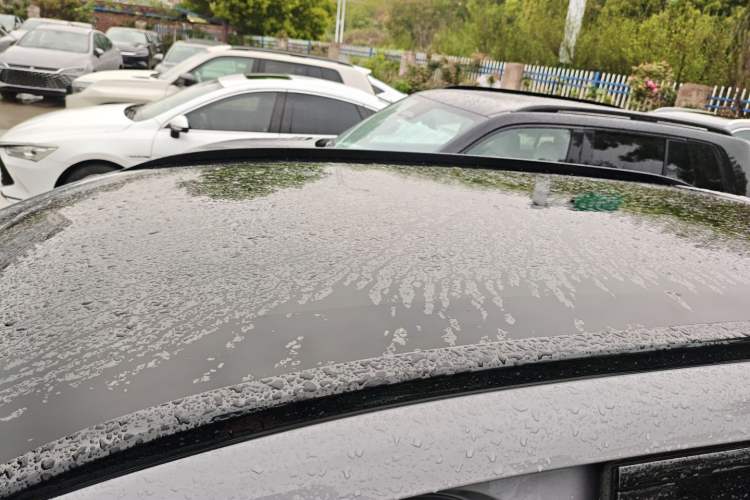 Used BYD Sealion 05 EV 2025 520 km Flagship SmartDrive Version Roof