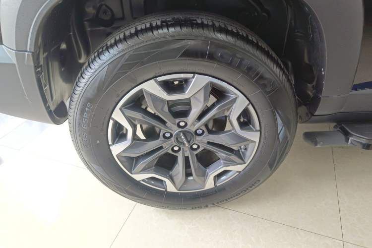 Used Haval DARGO 2024 2.0T DCT Chinese Rural Dog Edition
