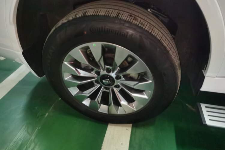 Used Tank 500 New Energy 2026 Model—Hi4-T Smart Enjoyment Version
