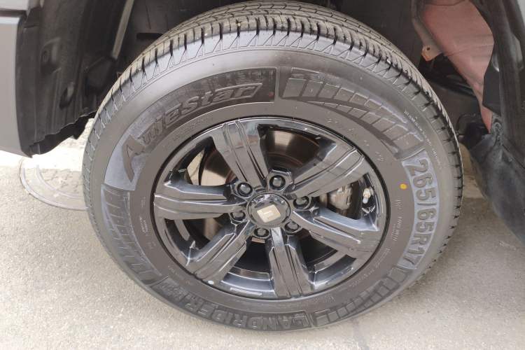 Used Tank 300 2024 2.0T Challenger
