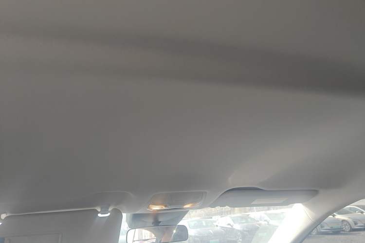 Used Hongqi E-QM5 2022 431 km Charge & Enjoy Edition Headliner