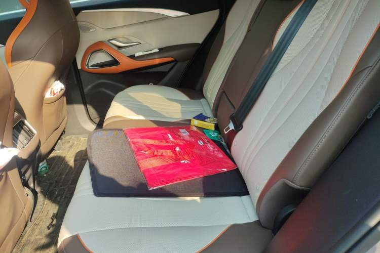 Used BYD Song Pro New Energy 2022 DM-i 110km Flagship Pro Model Left Rear Seat