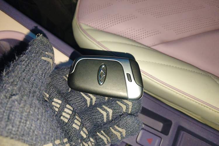 Used Chery Little Ant 2022 Sweet Pink Edition Half-Sugar Version Lithium Iron Phosphate 30 kW 301 km
