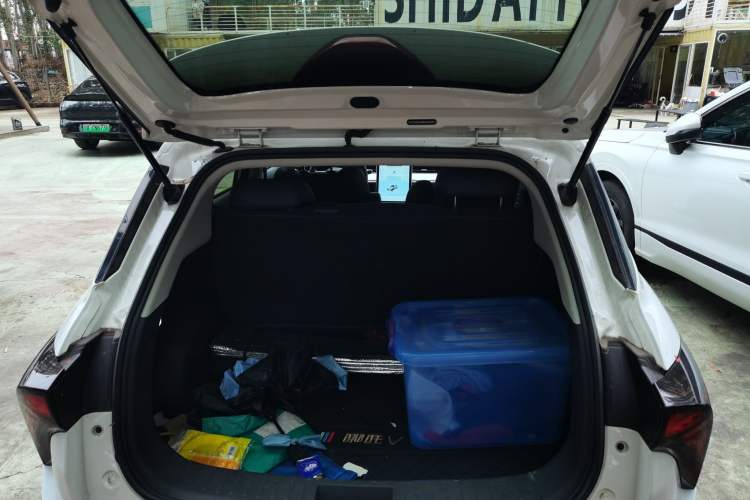 Used NETA V 2021 Long-Range Entertainment Edition Upgrade Model
