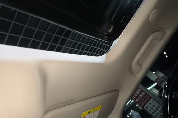 Used Tank 300 2024 2.0T Crosser
