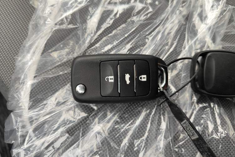 Used Qiyuan Lumin 2024 130km Qingyue Version
