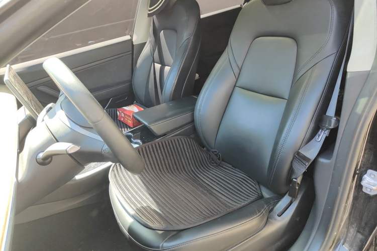 Used Tesla Model 3 2020 Revised Version Standard Range Rear-Wheel Drive – Upgraded Edition