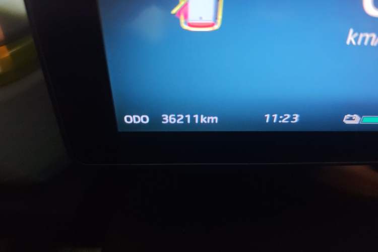 Used SOL E10X 2022 Flower Fairy Design Four-Leaf Clover