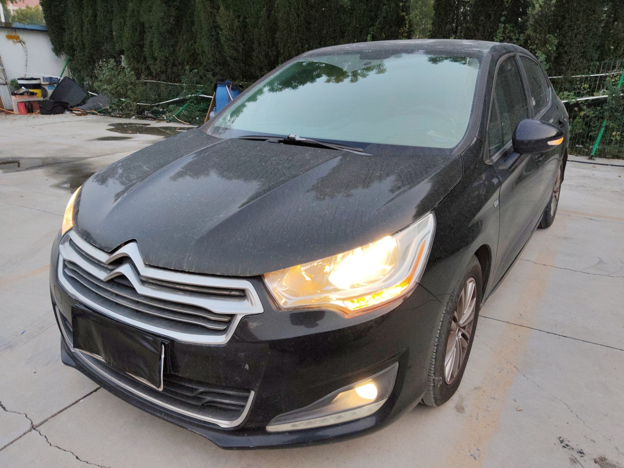 تحت مقدمة السيارة