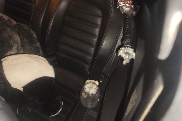 Used Volkswagen Scirocco 2010 2.0 TSI Sport Edition Left Rear Seat