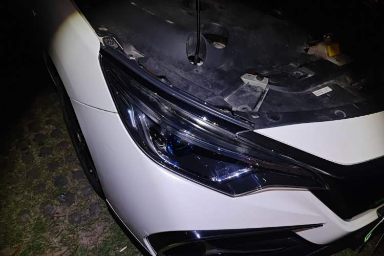 Used Venucia D60EV 2019 High-Range Travel Edition
