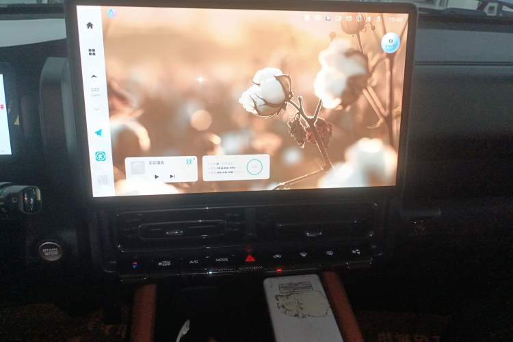 Used Haval H9 2024 2.0T Gasoline All-Wheel-Drive Extreme Edition