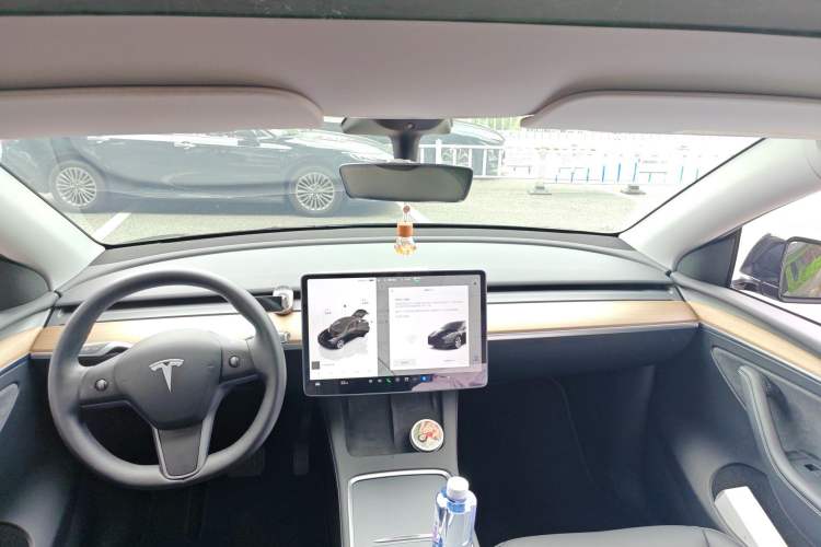 Used Tesla Model Y 2022 Revised Version Rear-Wheel Drive Headliner