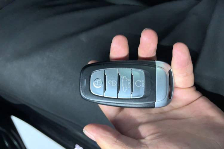 Used Hongqi H9 2020 2.0T Smart Connect Flagship Edition