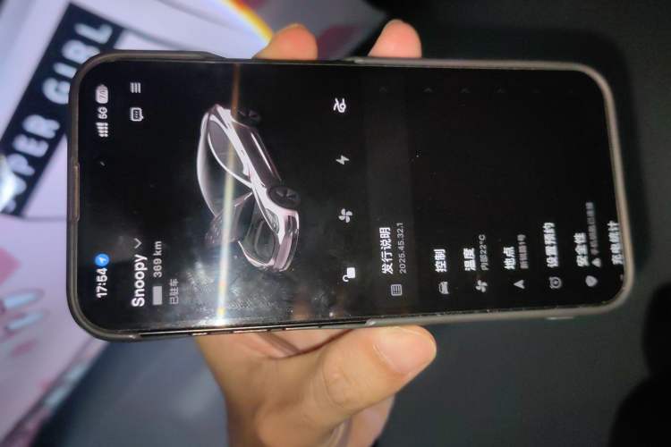 Used Tesla Model 3 2022 Rear-Wheel-Drive Version Vehicle Key