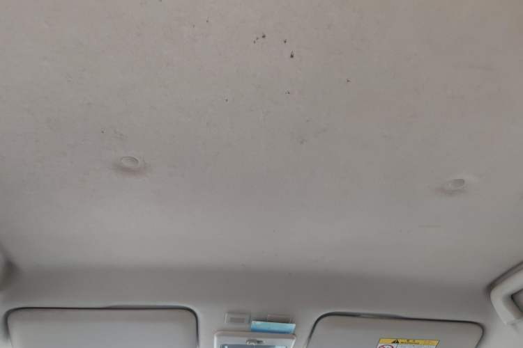 Used ORA Black Cat 2019 301km Standard Edition
