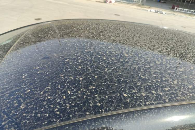 Used BYD Dolphin 2021 405 km Fashion Edition Roof