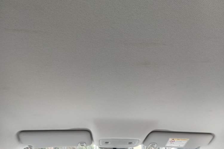 Used Leapmotor T03 2024 310 Comfort Edition Headliner