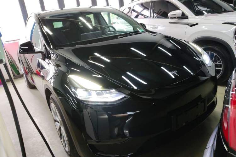 Used Tesla Model Y 2021 Standard Range Rear-Wheel Drive Version
