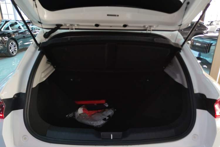 Used BYD e2 2023 Luxury Model