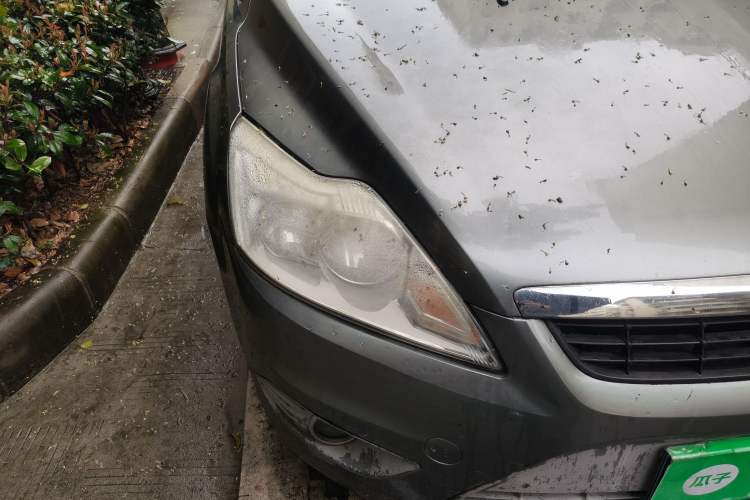 Used Ford Focus 2011 Sedan 1.8L Automatic Fashion Edition
