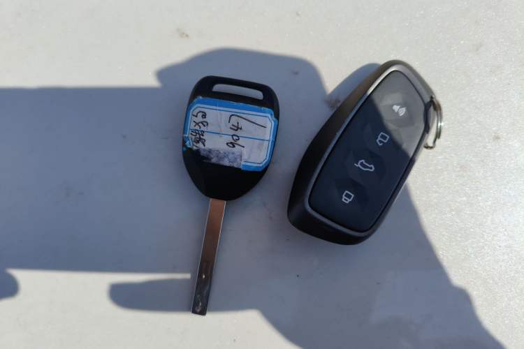 Used Haval X DOG 2022 1.5T DCT Two-Wheel Drive Trendy Edition Vehicle Key