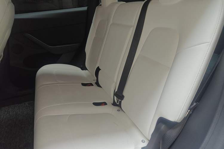 Used Tesla Model Y 2021 Standard Range Rear-Wheel Drive Version
