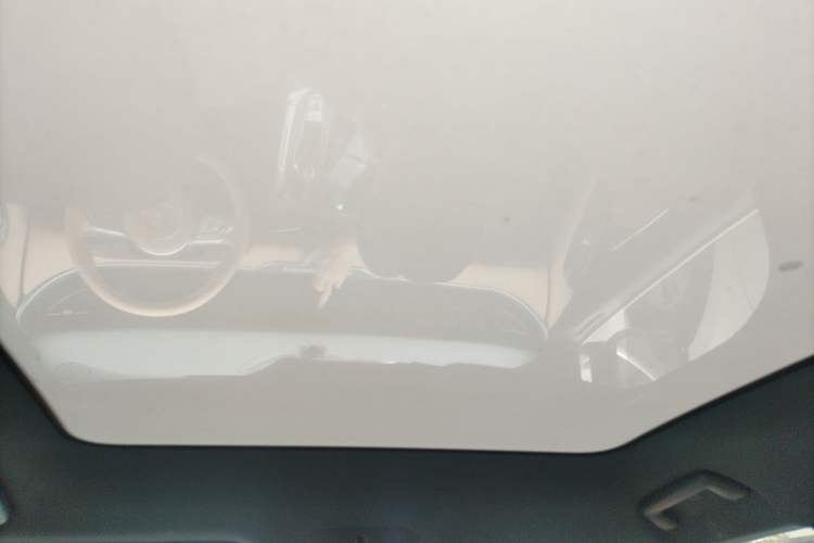 Used VOYAH FREE 2021 Four-Wheel Drive Standard Range-Extended Version
