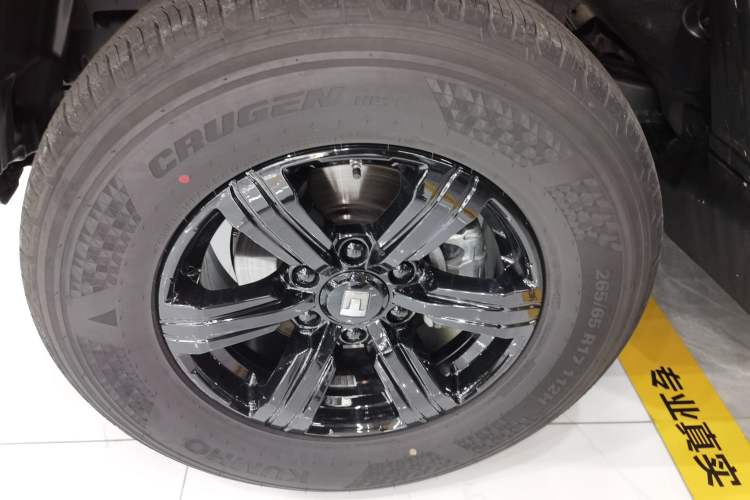 Used Tank 300 2025 2.0T Conqueror